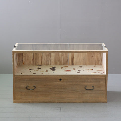 P591 桐箪笥×ロスフラワーパネコ Circlife(サークライフ) GLASS(BEIGE) 高さ51㎝ 幅90㎝ 奥行42㎝