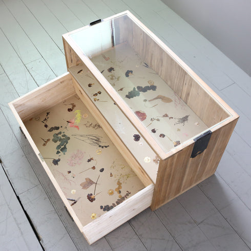 P591 桐箪笥×ロスフラワーパネコ Circlife(サークライフ) GLASS(BEIGE) 高さ51㎝ 幅90㎝ 奥行42㎝