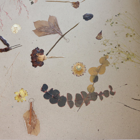 P591 桐箪笥×ロスフラワーパネコ Circlife(サークライフ) GLASS(BEIGE) 高さ51㎝ 幅90㎝ 奥行42㎝