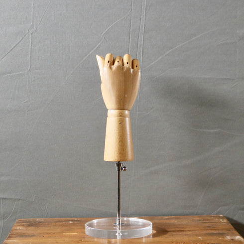 0493 ハンドトルソ